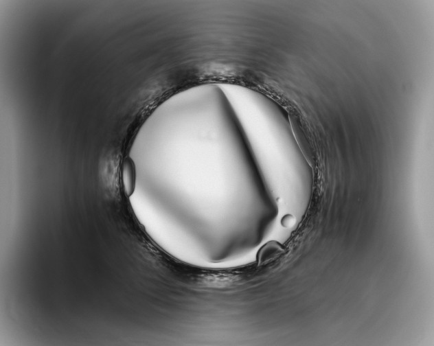 X0000093530708200711091758