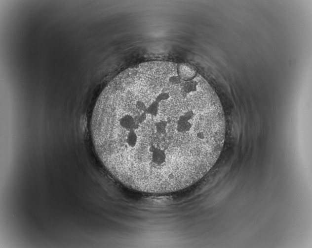 X0000093530711200711091758