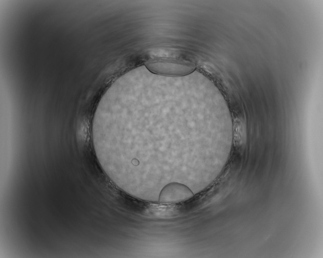 X0000093530713200711091758
