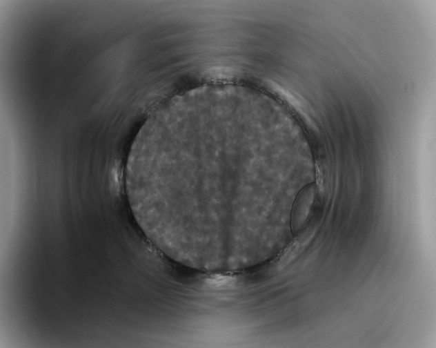 X0000093530718200711091758