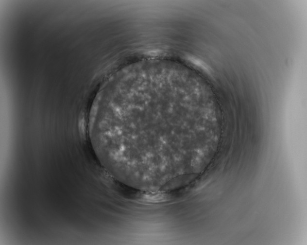X0000093530720200711091758