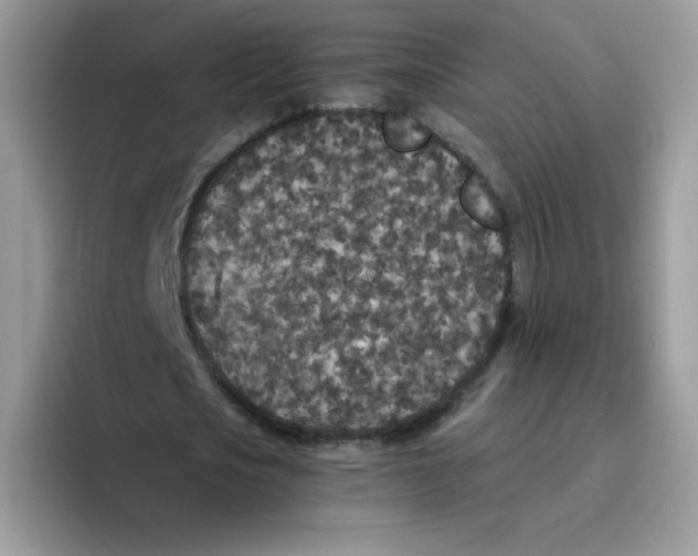 X0000093530721200711091757