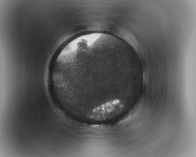 X0000093530724200711091757