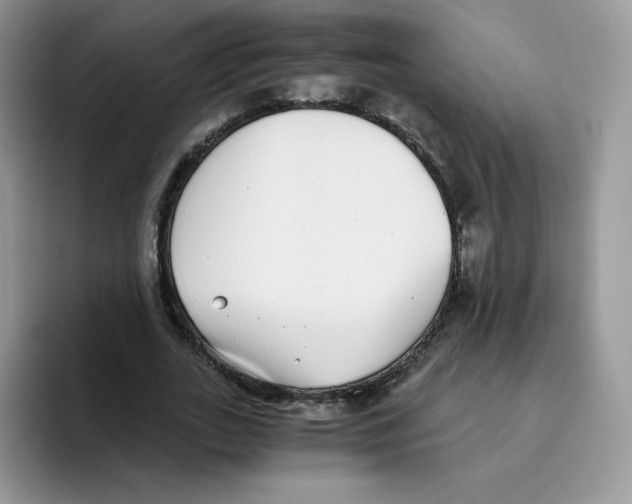 X0000093530727200711091757