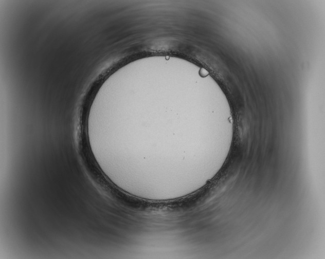 X0000093530728200711091757