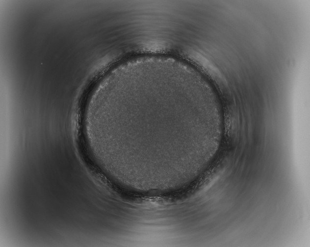X0000093530736200711091757