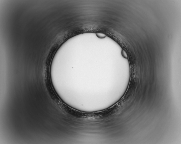 X0000093530738200711091757
