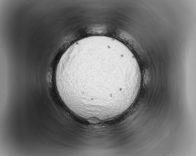 X0000093530739200711091757
