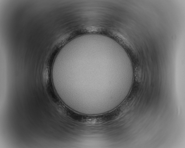 X0000093530740200711091757