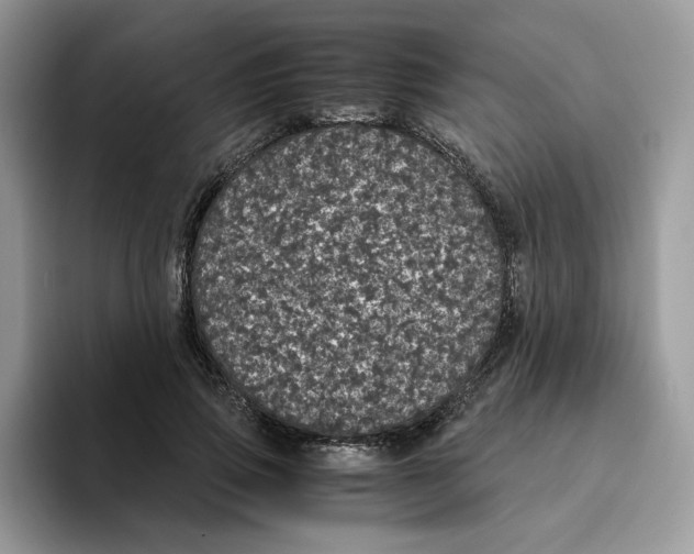 X0000093530741200711091757