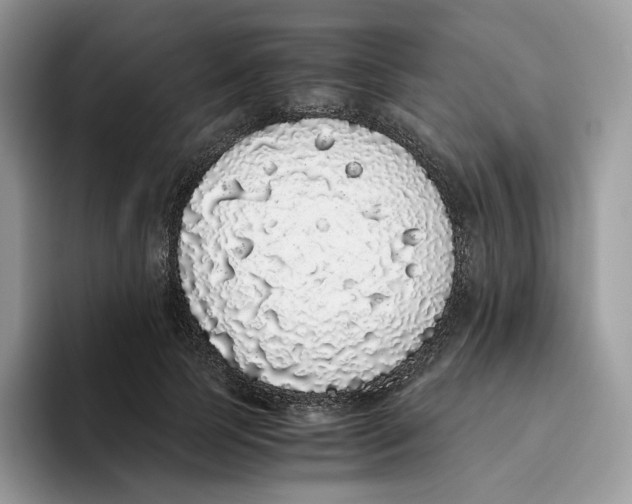 X0000093530745200711091757