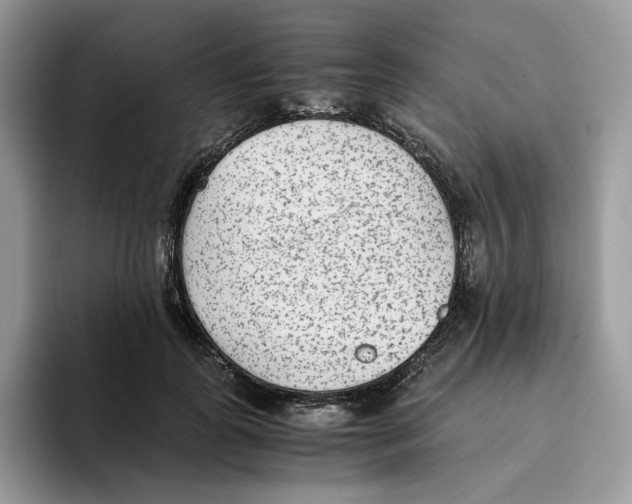 X0000093530747200711091757