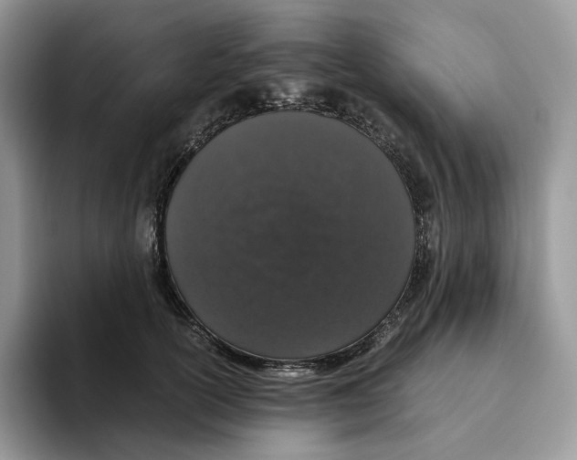 X0000093530754200711091757