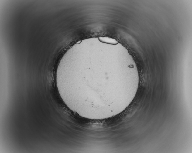 X0000093530756200711091757