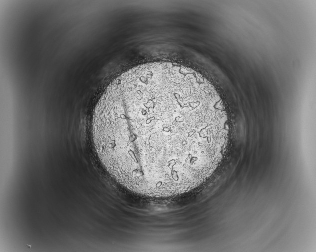 X0000093530757200711091757