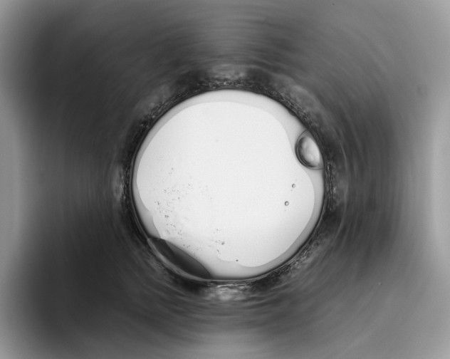 X0000093530758200711091757