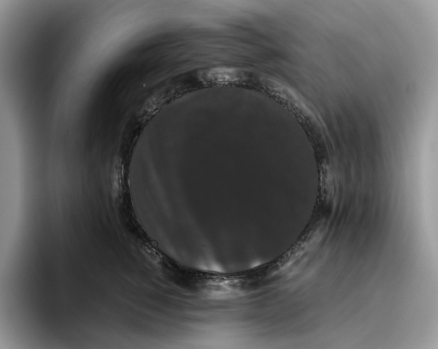 X0000093530760200711091757