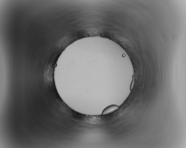 X0000093530768200711091758