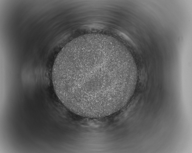 X0000093530774200711091757