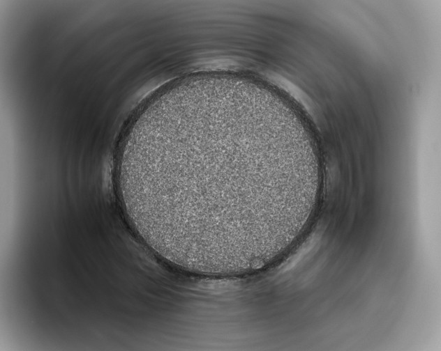 X0000093530778200711091757
