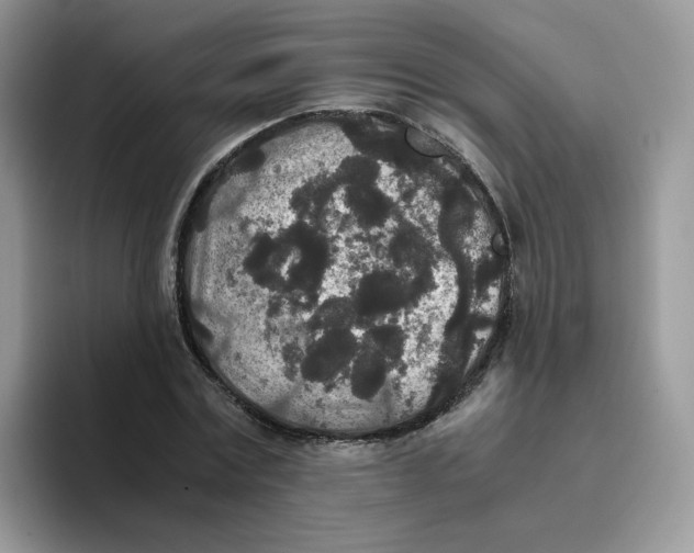 X0000093530779200711091757