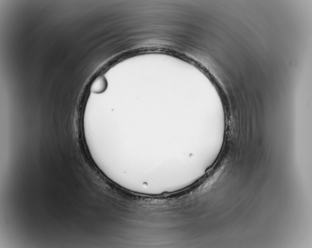 X0000093530783200711091757