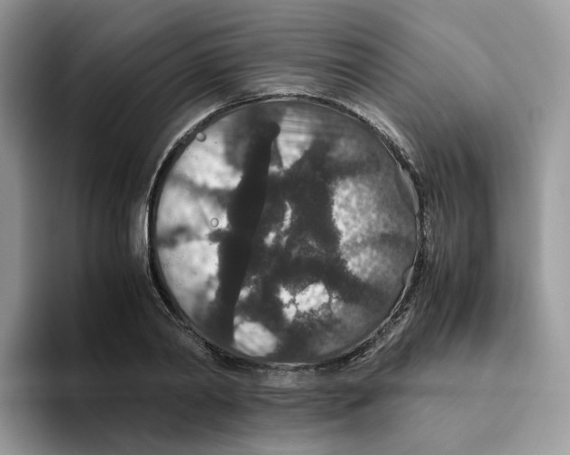 X0000093530790200711091757