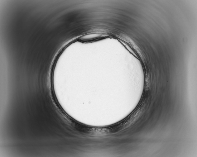 X0000093530795200711091757