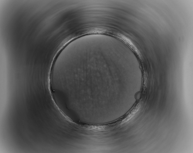 X0000093530802200711091757