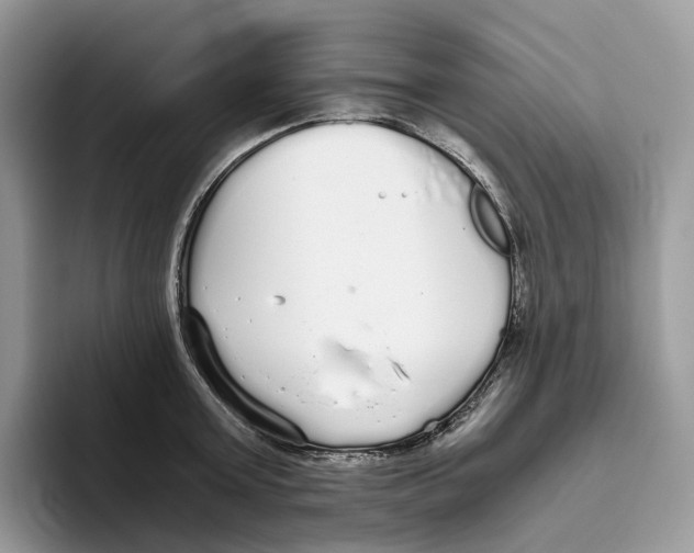 X0000093530803200711091757