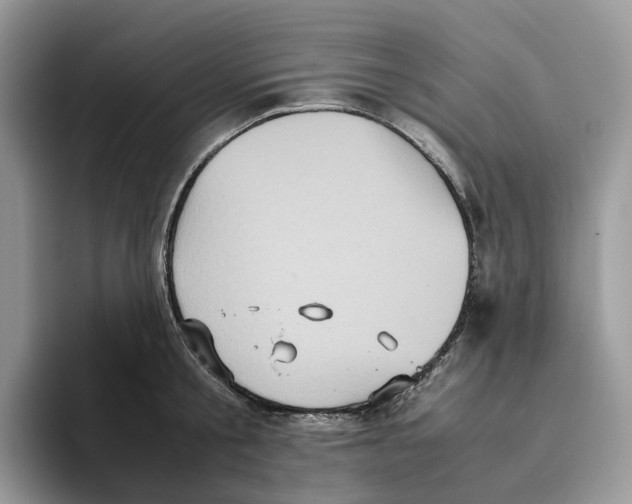 X0000093530805200711091757