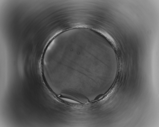 X0000093530806200711091757