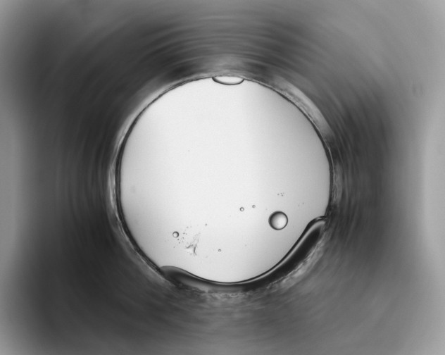 X0000093530812200711091756