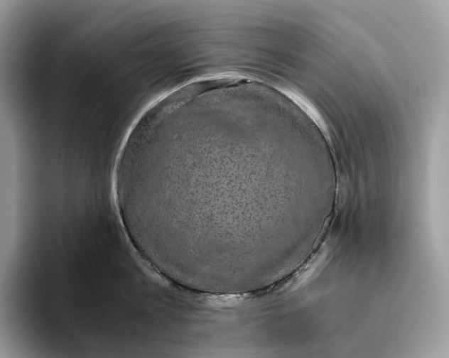 X0000093530813200711091756