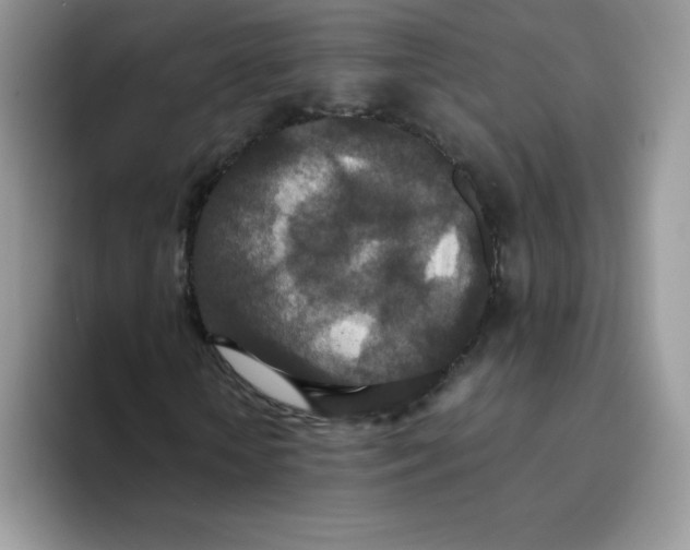 X0000093530818200711091756