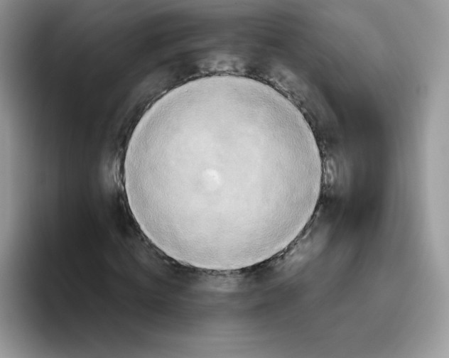 X0000093530820200711091756