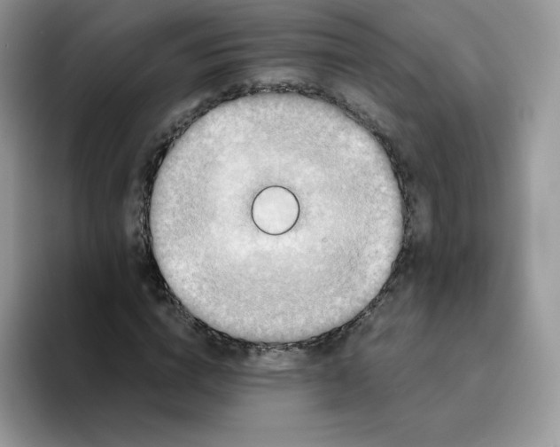 X0000093530824200711091756