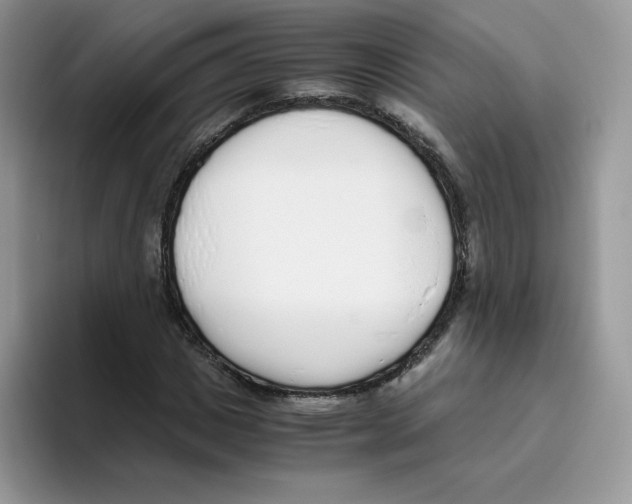 X0000093530825200711091756