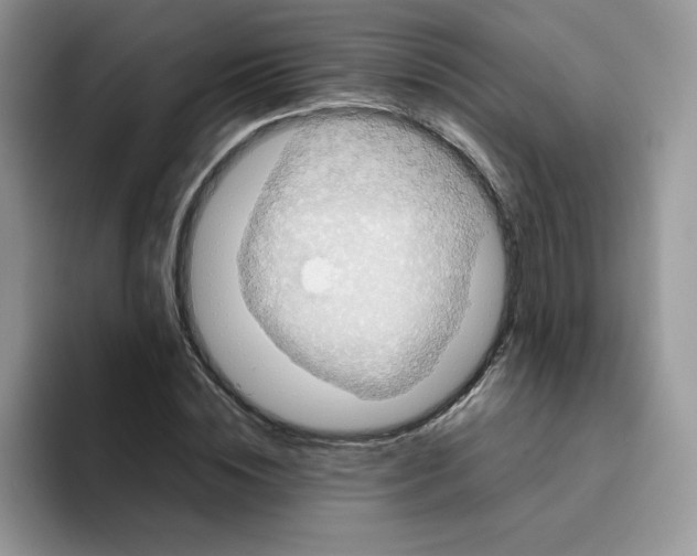 X0000093530828200711091756