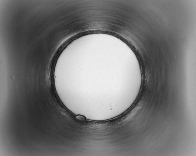 X0000093530830200711091756