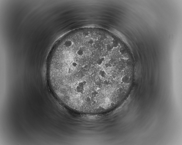X0000093530831200711091756