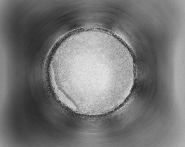 X0000093530832200711091756