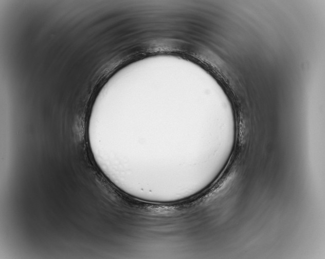 X0000093530833200711091756