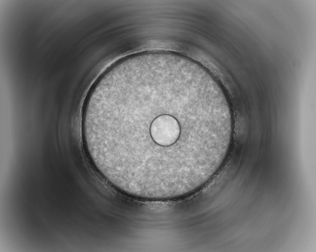 X0000093530836200711091756