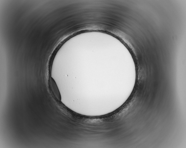 X0000093530837200711091756