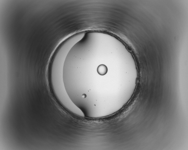 X0000093530838200711091756