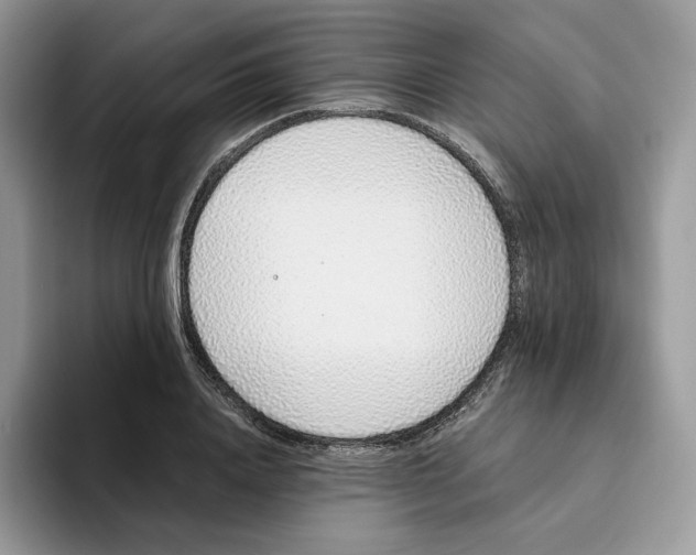 X0000093530840200711091756