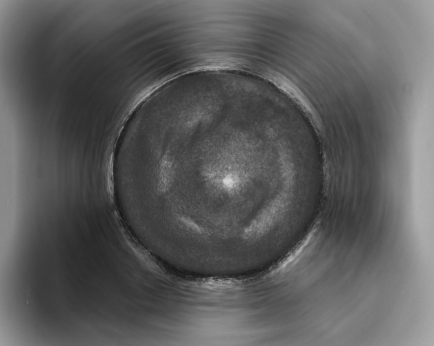 X0000093530842200711091756