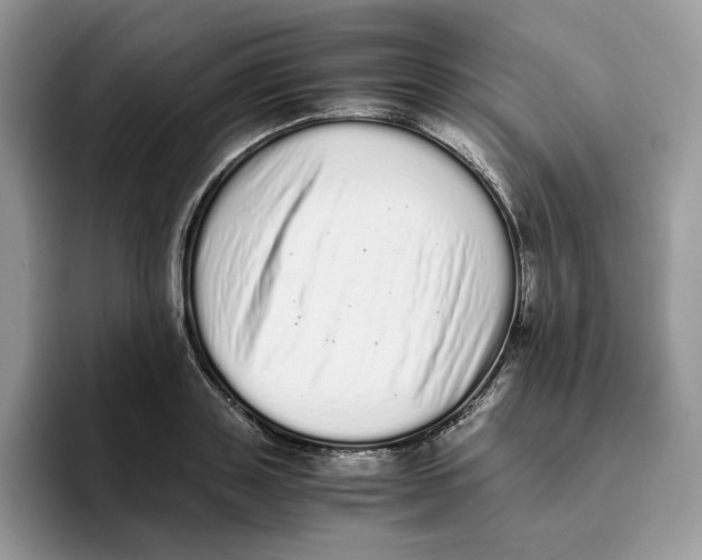 X0000093530843200711091756