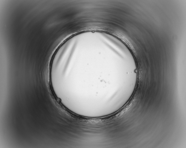 X0000093530844200711091756